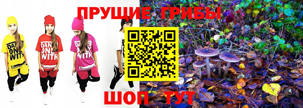 Псилоцибиновые грибы ЛСД Ржев