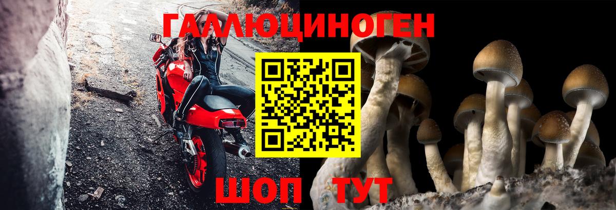 Ржев  Галлюциногенные грибы MAGIC MUSHROOMS  Вход с VPN  Псилоцибиновые грибы MAGIC MUSHROOMS 